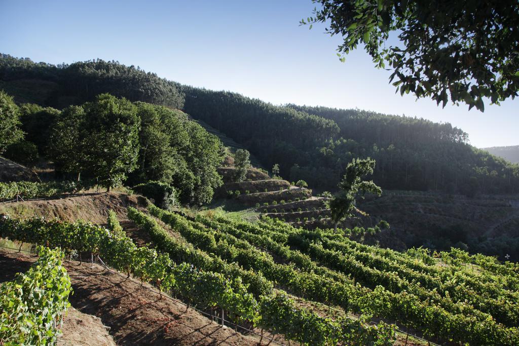 Encosta Dos Tuneis - Turismo E Lazer เซฟเวร์ ดู โววกา ภายนอก รูปภาพ